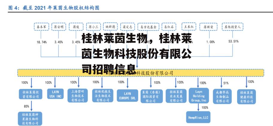 桂林莱茵生物，桂林莱茵生物科技股份有限公司招聘信息