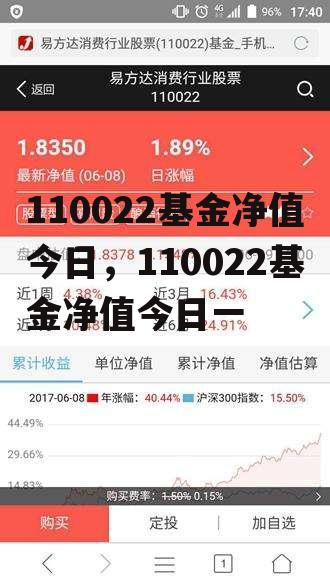 110022基金净值今日，110022基金净值今日一