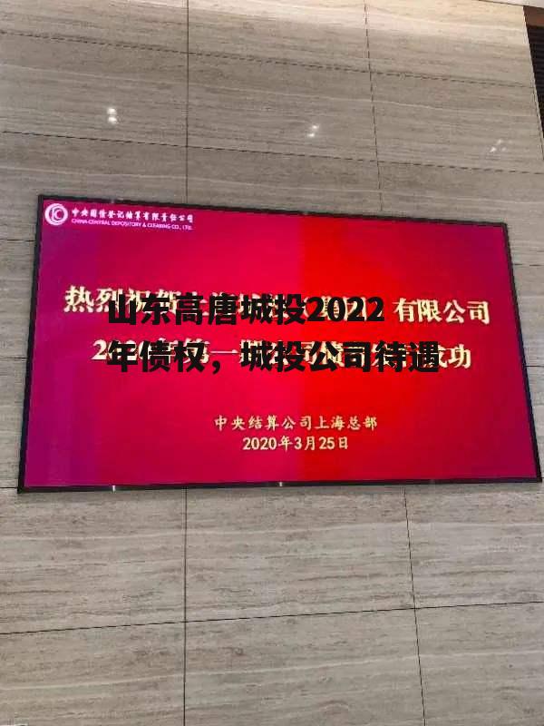 山东高唐城投2022年债权，城投公司待遇