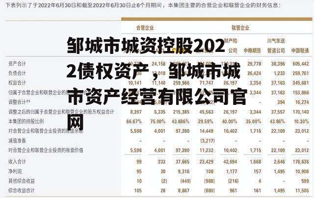 邹城市城资控股2022债权资产，邹城市城市资产经营有限公司官网