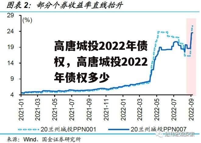 高唐城投2022年债权，高唐城投2022年债权多少