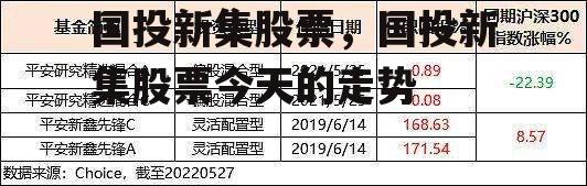 国投新集股票，国投新集股票今天的走势