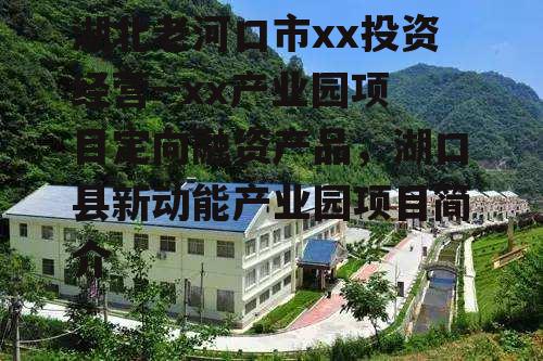 湖北老河口市xx投资经营--xx产业园项目定向融资产品，湖口县新动能产业园项目简介