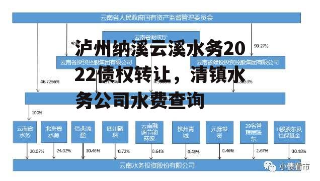 泸州纳溪云溪水务2022债权转让，清镇水务公司水费查询