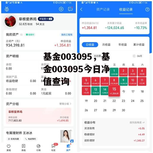 基金003095，基金003095今日净值查询