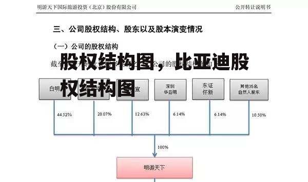 股权结构图，比亚迪股权结构图