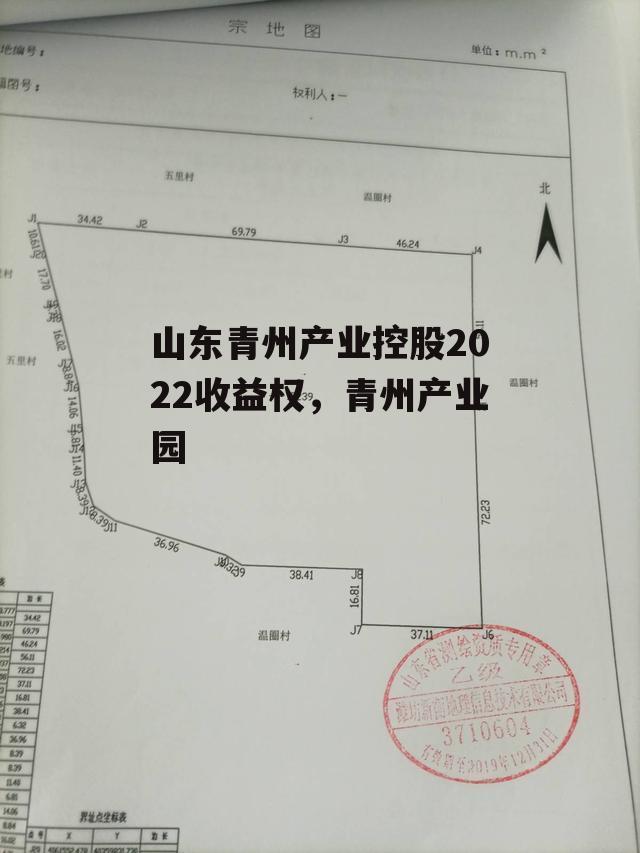 山东青州产业控股2022收益权，青州产业园