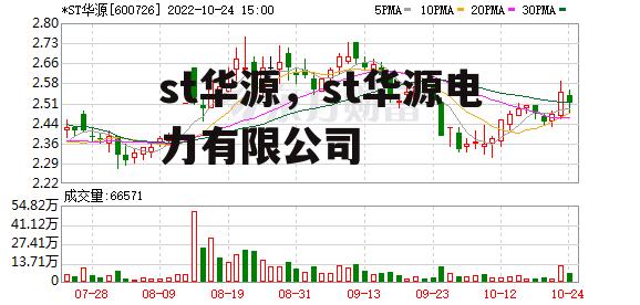 st华源，st华源电力有限公司