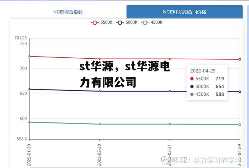 st华源，st华源电力有限公司