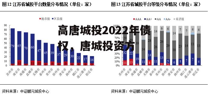 高唐城投2022年债权，唐城投资方