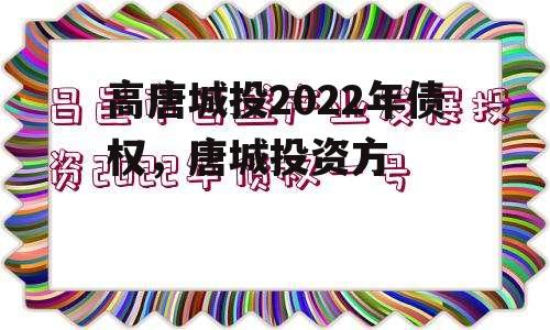 高唐城投2022年债权，唐城投资方