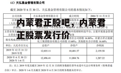 内蒙君正股吧，内蒙君正股票发行价