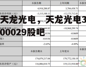 天龙光电，天龙光电300029股吧