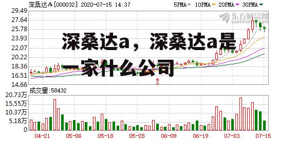 深桑达a，深桑达a是一家什么公司