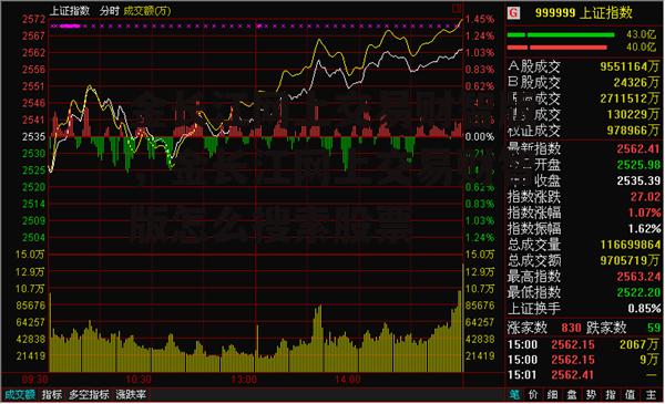 金长江网上交易财智版，金长江网上交易财智版怎么搜索股票