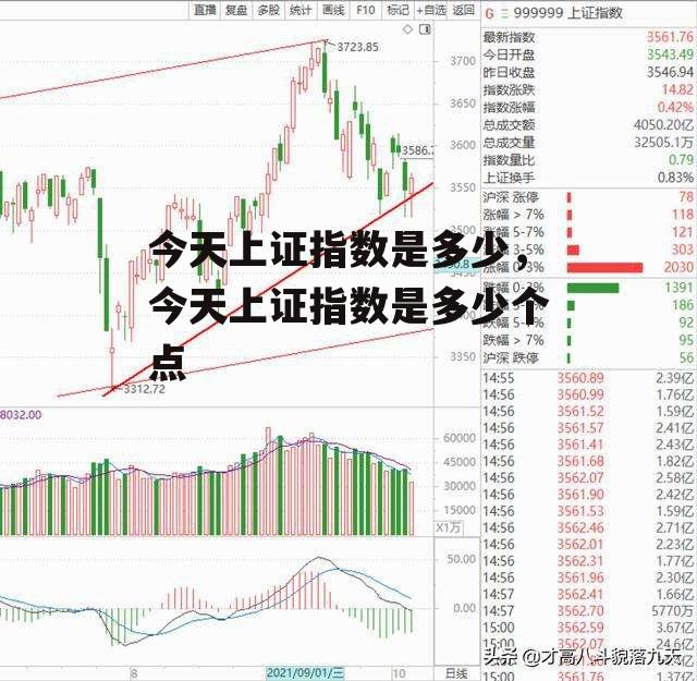 今天上证指数是多少，今天上证指数是多少个点