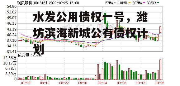 水发公用债权一号，潍坊滨海新城公有债权计划