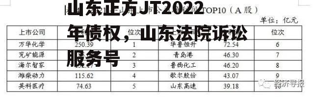 山东正方JT2022年债权，山东法院诉讼服务号