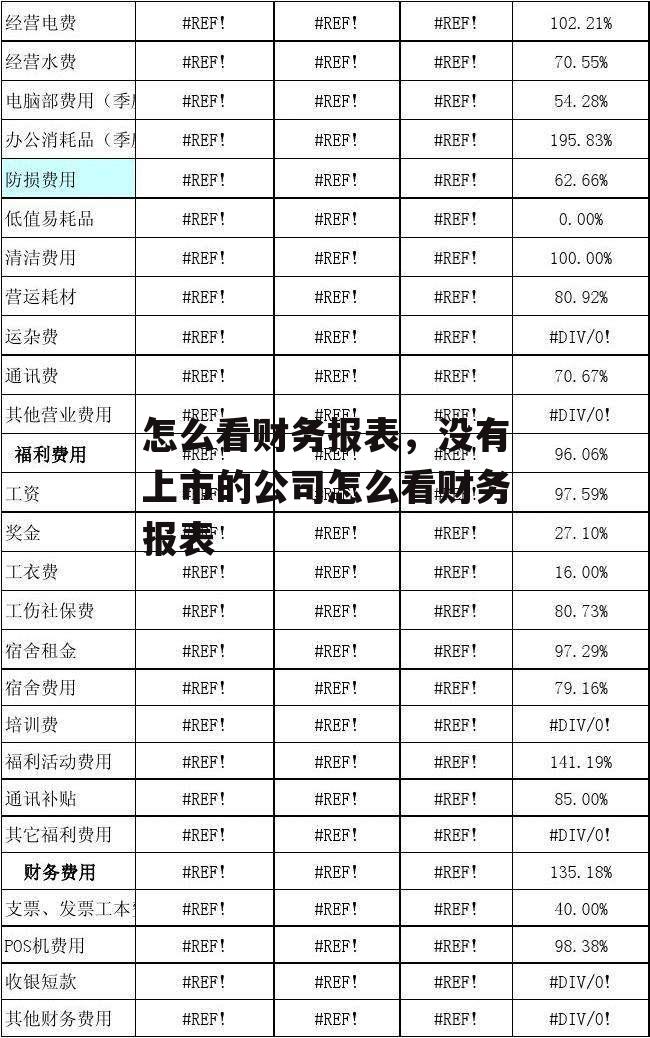 怎么看财务报表，没有上市的公司怎么看财务报表