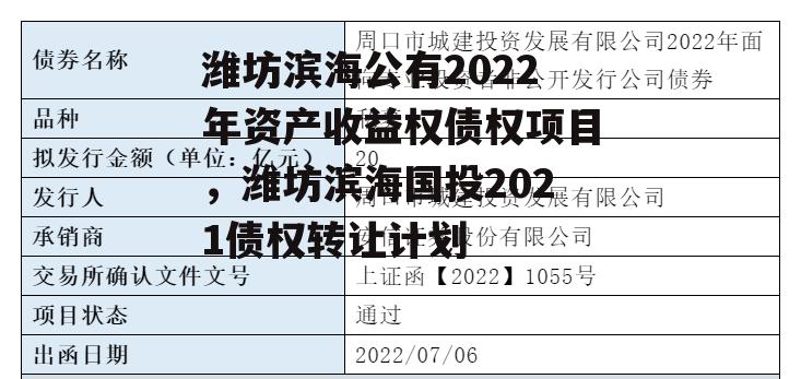 潍坊滨海公有2022年资产收益权债权项目，潍坊滨海国投2021债权转让计划