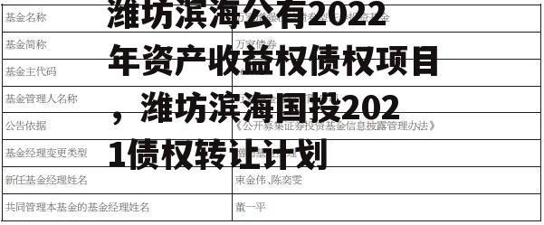 潍坊滨海公有2022年资产收益权债权项目，潍坊滨海国投2021债权转让计划