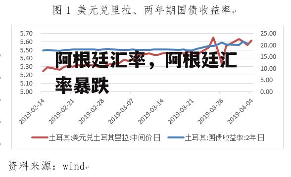 阿根廷汇率，阿根廷汇率暴跌