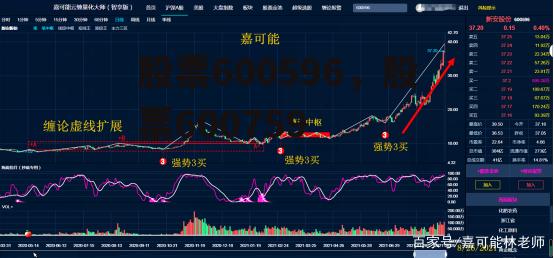 股票600596，股票600759