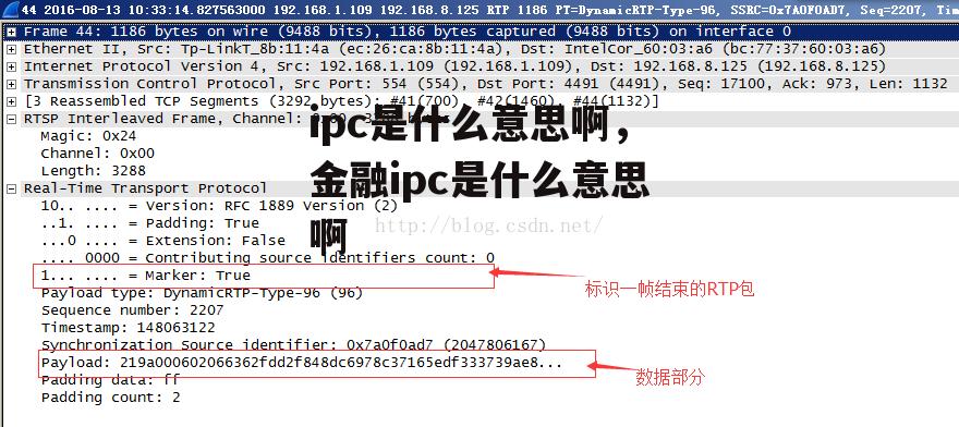 ipc是什么意思啊，金融ipc是什么意思啊