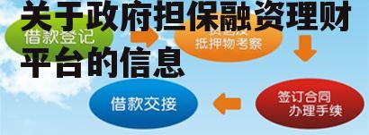 关于政府担保融资理财平台的信息