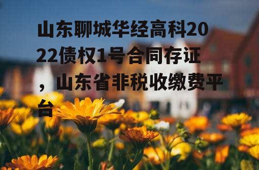 山东聊城华经高科2022债权1号合同存证，山东省非税收缴费平台