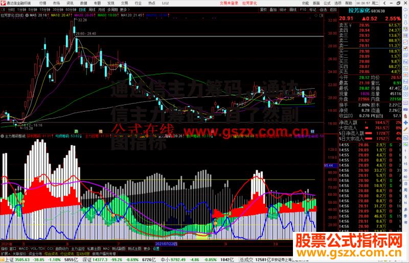 通达信主力筹码，通达信主力筹码一目了然副图指标