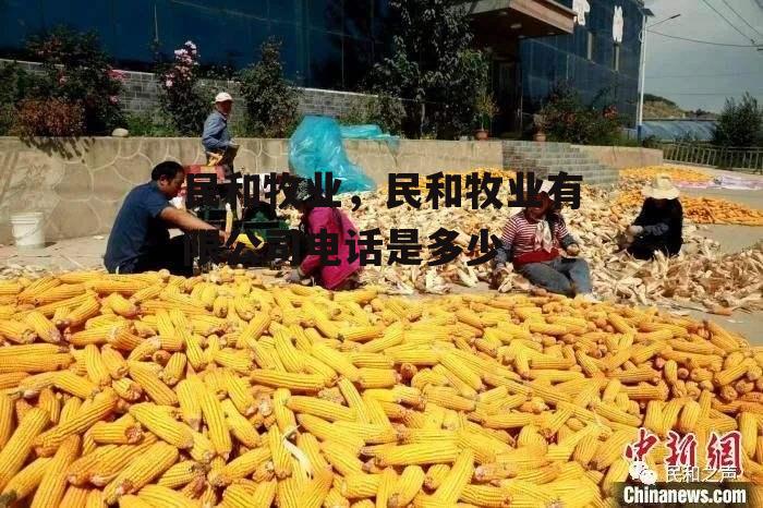 民和牧业，民和牧业有限公司电话是多少