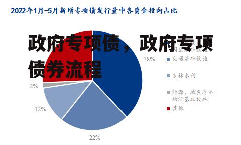 政府专项债，政府专项债券流程