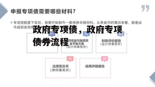 政府专项债，政府专项债券流程