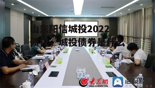 山东阳信城投2022债权，城投债券是什么