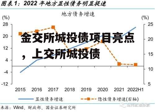 金交所城投债项目亮点，上交所城投债