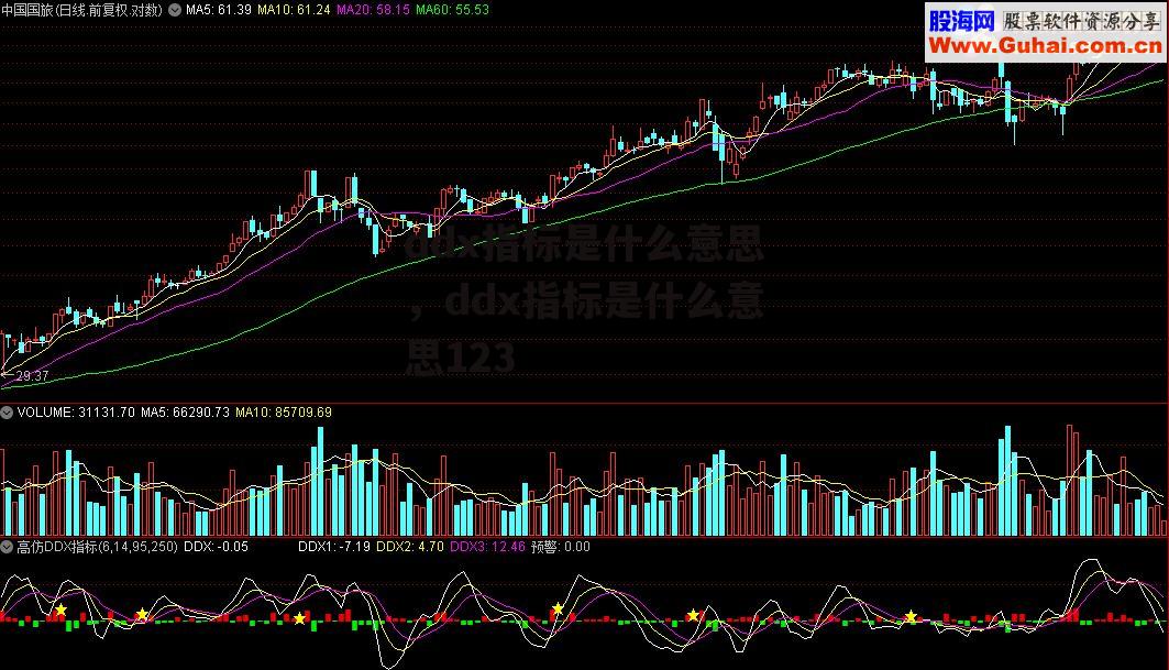 ddx指标是什么意思，ddx指标是什么意思123