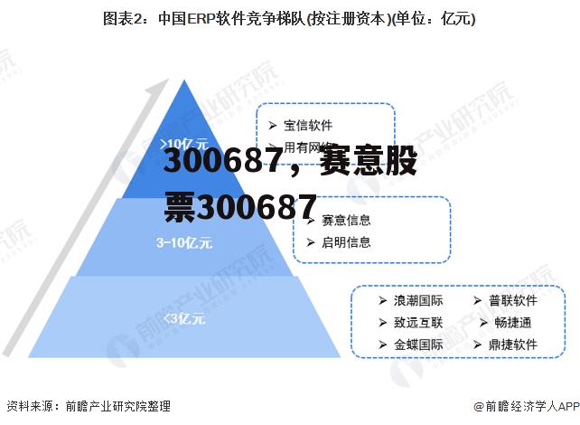 300687，赛意股票300687