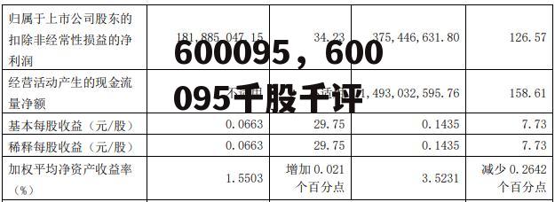 600095，600095千股千评