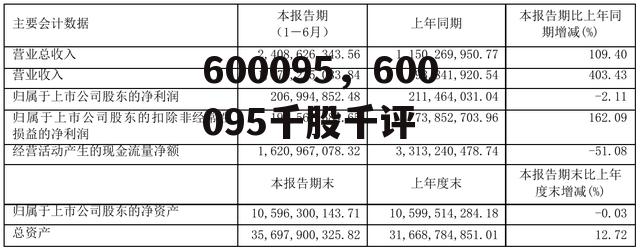 600095，600095千股千评