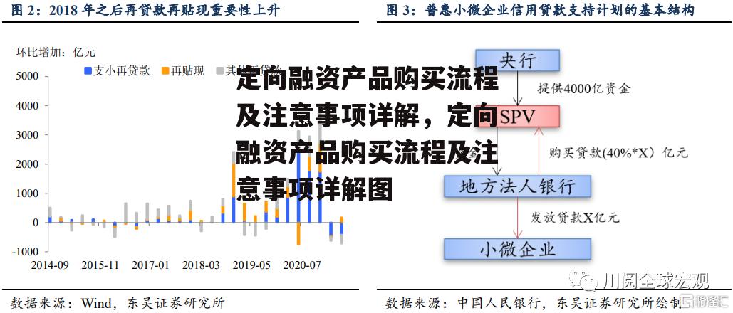 定向融资产品购买流程及注意事项详解，定向融资产品购买流程及注意事项详解图