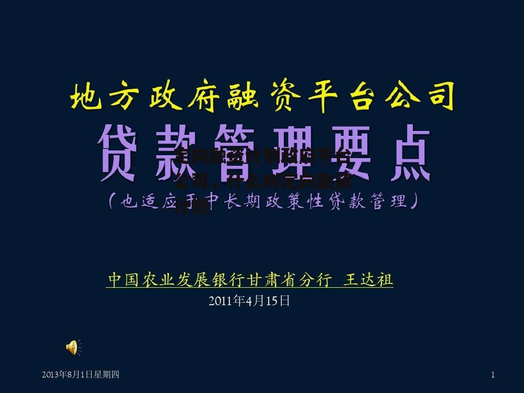 定向融资计划政府平台公司，什么叫定向融资计划