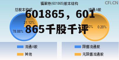 601865，601865千股千评