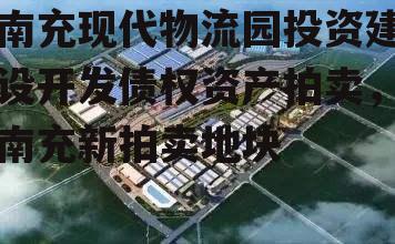 南充现代物流园投资建设开发债权资产拍卖，南充新拍卖地块