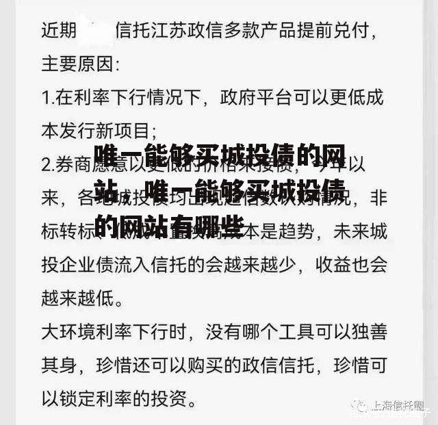 唯一能够买城投债的网站，唯一能够买城投债的网站有哪些