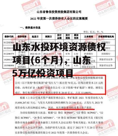 山东水投环境资源债权项目(6个月)，山东5万亿投资项目