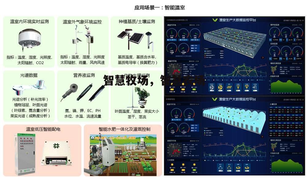 智慧牧场，智慧农场