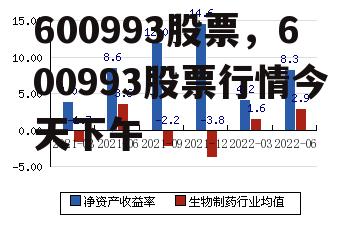 600993股票，600993股票行情今天下午