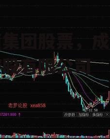 成商集团股票，成商集团控股有限公司