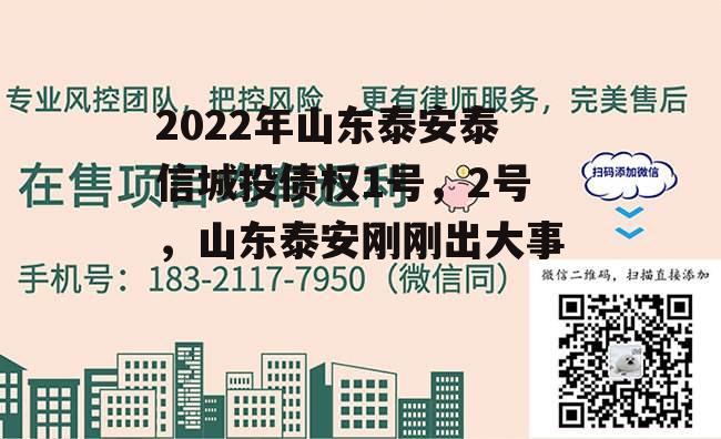 2022年山东泰安泰信城投债权1号，2号，山东泰安刚刚出大事